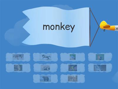 English year 1(animals)