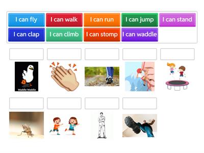 Action verbs