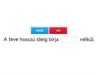 Egészítsétek ki a mondatokat a hlyes szavakkal!