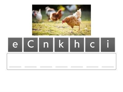 Animal- Get ready for starter