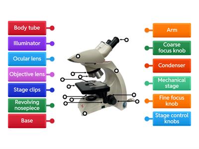 Label the Microscope
