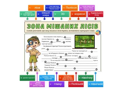 Мішані ліси