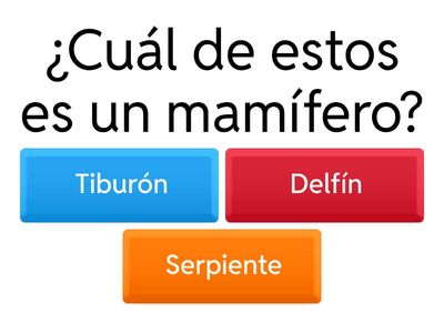 Animales Vertebrados