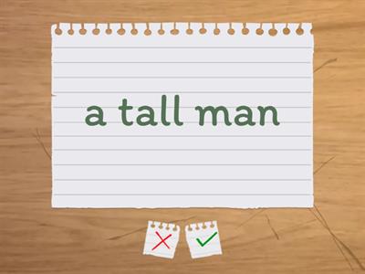 Зовнішність