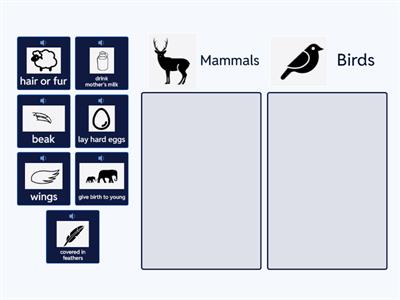 Features of Birds and Mammals