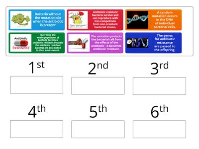 Antibiotic Resistance