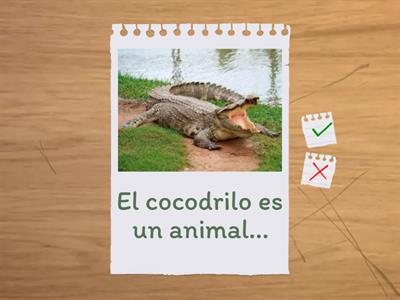 Alimentación animal 