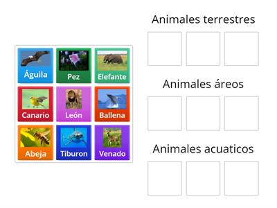 los animales y su habitat