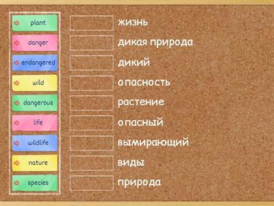 6 кл. Unit2, lesson 4