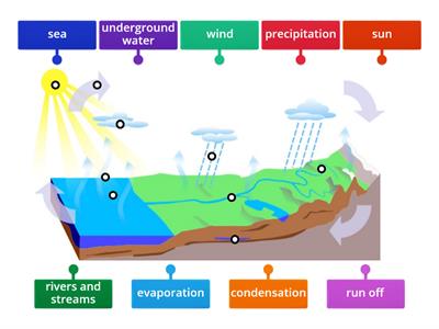 Water Cycle 