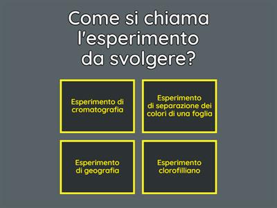 🌿I colori delle foglie🌿