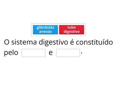 Sistema digestivo - morfologia