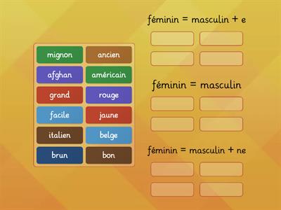 Le féminin des adjectifs 1