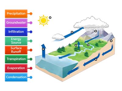 Water Cycle Labeled Diagram
