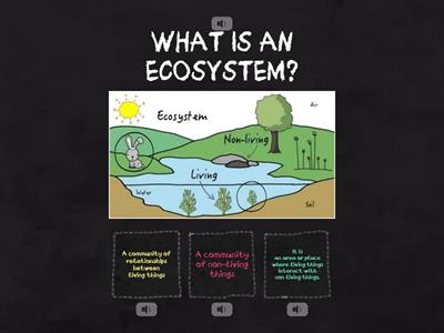   ECOSYSTEMS 