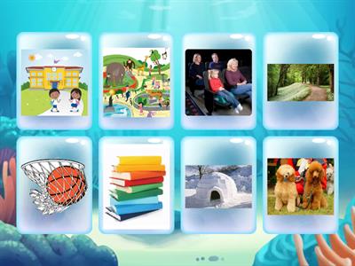 Segmenting /oo/ words 