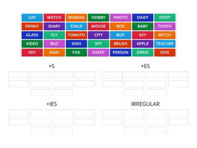 INGLESE - PLURALE DEI SOSTANTIVI