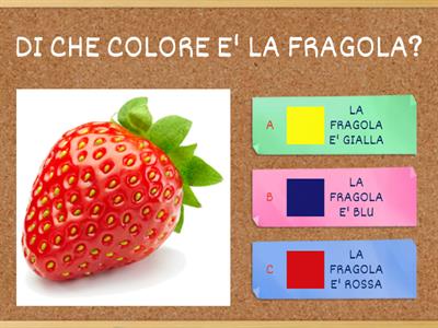 QUIZ SUI COLORI PER MARCO