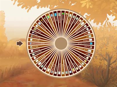 50 state random wheel
