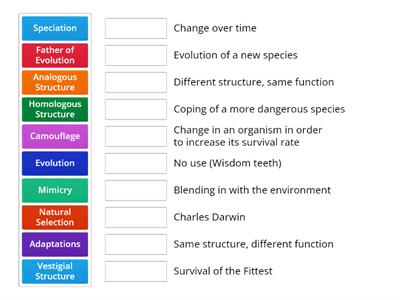 Evolution Match-Up