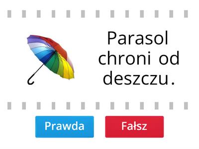 Zdania do czytania - prawda/fałsz.