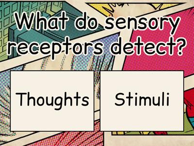 Sensory Receptors and Animal Behavior Quiz