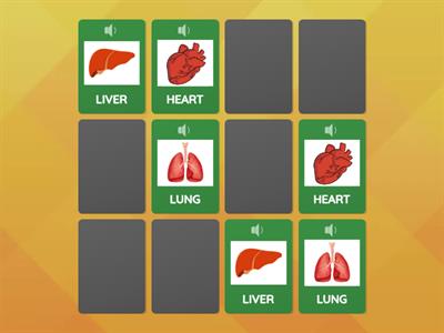 MEMORY TEST THE FROG DISSECTION 