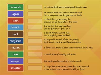 SM 5 UNIT 2 vocabulary