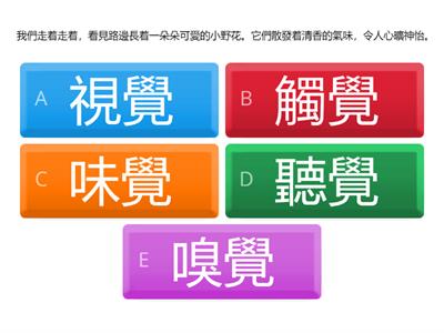 五感、修辭小測試