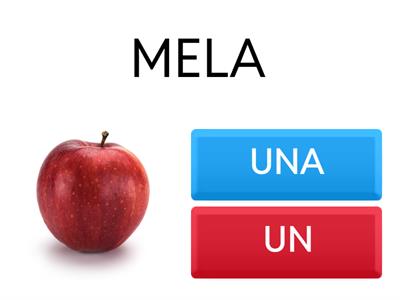 ARTICOLI INDETERMINATIVI UN - UNA - UN'