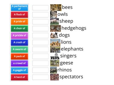 Form V: Collective nouns