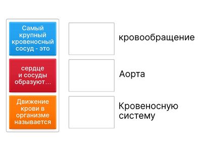 Дыхание и кровообращение