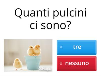 Niente-nessuno-alcuno