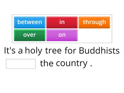 Choose the correct preposition - Sensations English B1 