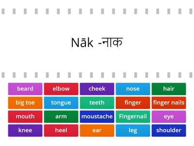 Body parts in marathi_1