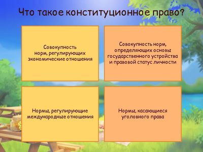 основы конституционного права