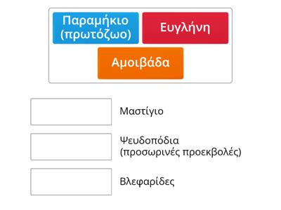 Η στήριξη και η κίνηση στους μονοκύτταρους οργανισμούς