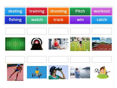 Sports 