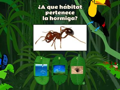 El habitat de los animales