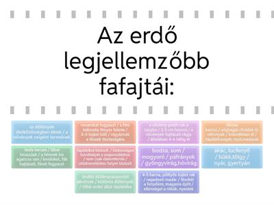 Környezetismeret 4. o. Az erdő 