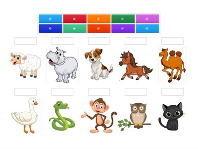 Tiere Wiederholung 2