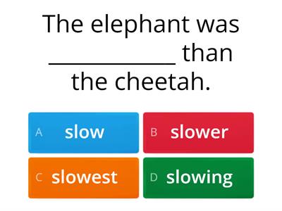 suffix quiz