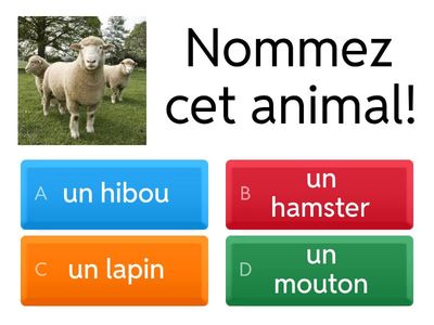 Nommez cet animal!