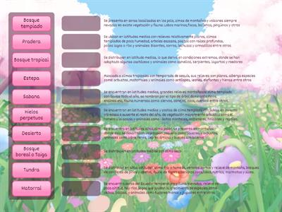 Sec.11 Regiones Naturales 