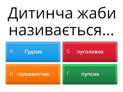 птахи, земноводні, рептилії, ссавці