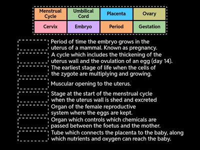 Junior Cert Human Reproduction