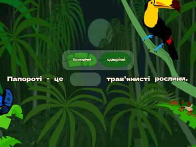 Папороті (ЯДС, 3 клас)