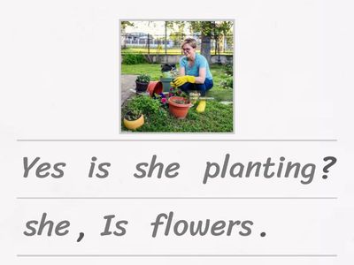 Present C - Question/ Answer