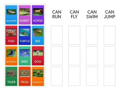 WHAT ANIMALS CAN DO ?