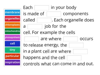 Structural Hierarchy Cloze Exercise